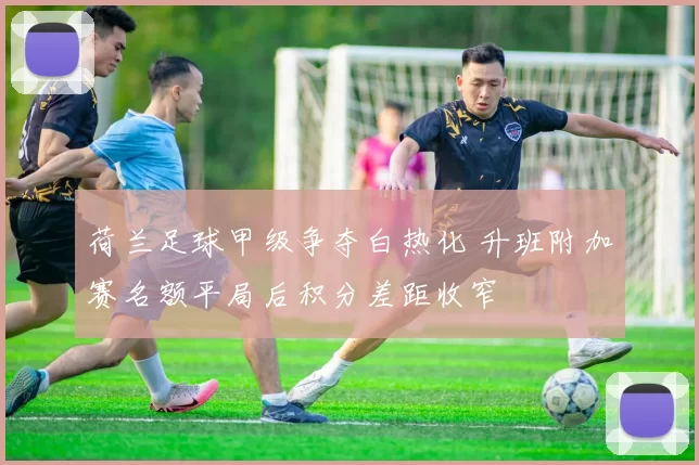 荷兰足球甲级争夺白热化 升班附加赛名额平局后积分差距收窄