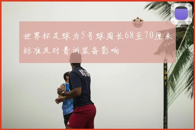 世界杯足球为5号球周长68至70厘米标准及对青训装备影响