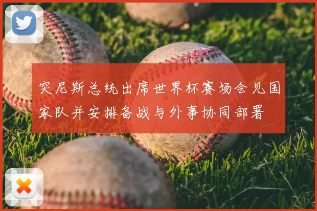 突尼斯总统出席世界杯赛场会见国家队并安排备战与外事协同部署