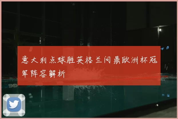 意大利点球胜英格兰问鼎欧洲杯冠军阵容解析